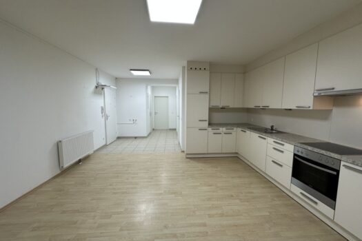 4-Zimmer mit Terrasse im Erdgeschoss in 2100 Korneuburg 45jDQcsw1BqiV8V55y3QZR