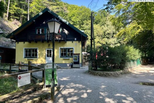 4wZvhbTINSy0ftp3ke3ZpL