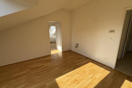 50pLqdpBn9ahcFMkUPo6e8