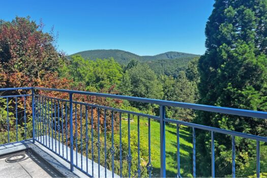 53YHkh09FpTI4ixNzOGHT3