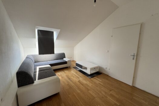 5DVmewt6vkqy1VaGeWxJDI