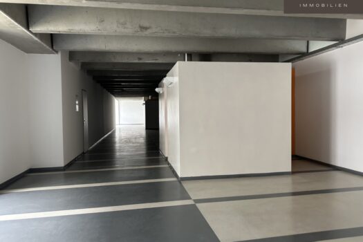 5XPK93HcCjyTcI1Xtflcv5