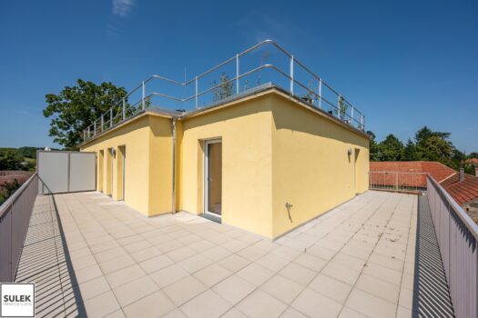 5Z8d6mouEhMVYuvIIbDLvD