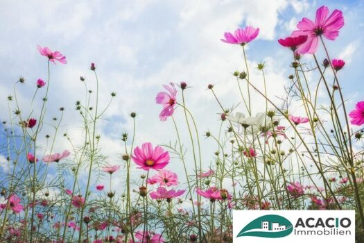 5bC6twRhKeF2e27xPq3EtF