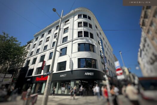 6AjuZiV9ca1vBTZG8t0xHT