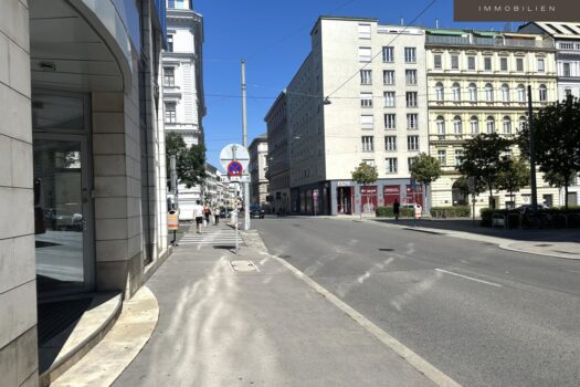 6E6I1wJmxJPAcOXp0nBknZ