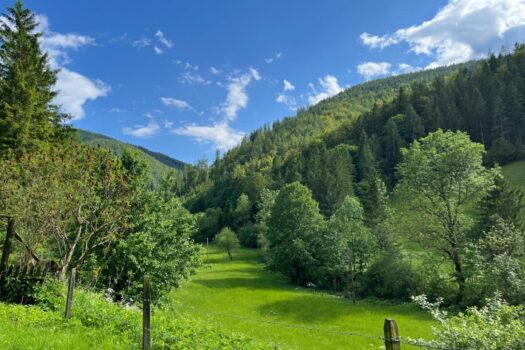 6FvCYtO1r5DaFOg4aWiTwI