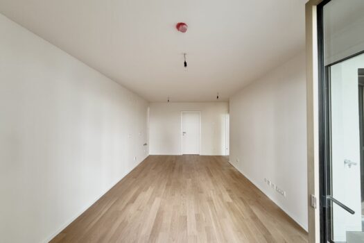 6NazyxBR5tFKgXPCt4FkBC