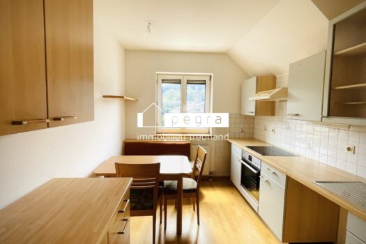 6TSBoCTXU1LZNNRhP728JL