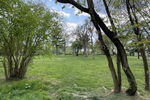 Beautiful and furnished 107 m² 4 room apartment with terracce for rent in 1210 Vienna located directly at the Obere Alte Donau! 6cFvWXQmV5AxDcgumie9Pk