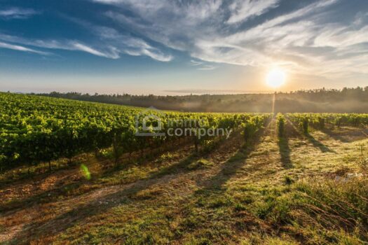 6khkgtPkcHKak7DJGEjCsO