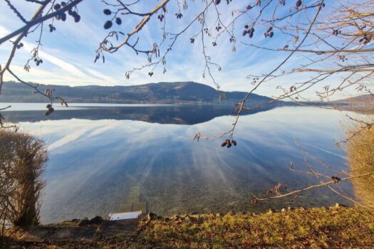 6ttQc6rGhzeVxgTSPrGICg