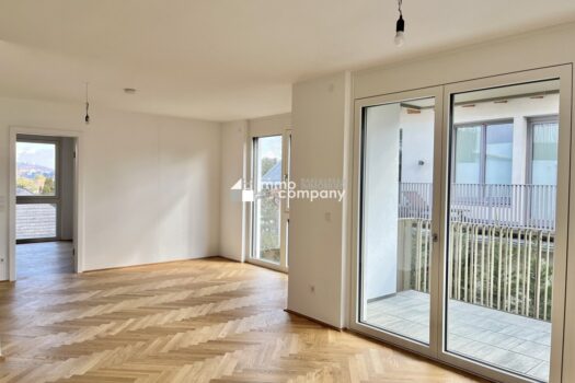 6u155SUN01l268bXoXLLmp