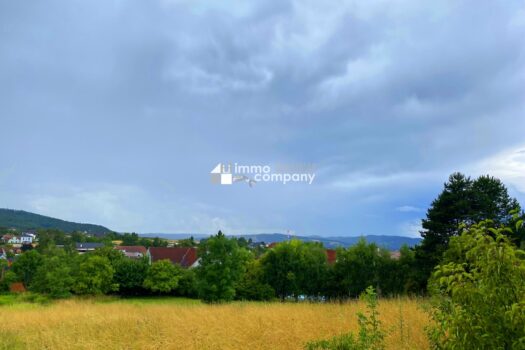 Die Sensation am Bisamberg 7Ip5uoNEytTZCl8gF4rEDk