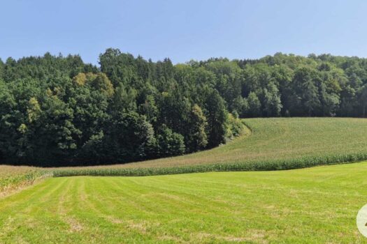 7l06HNe9WZS0nKuSPfXYYr