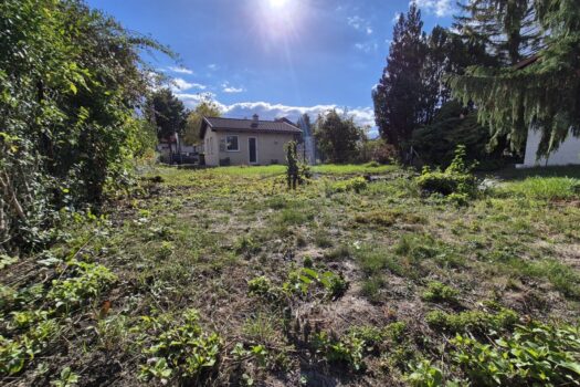 MIoDDpMUAOZI1Wn0uaS56