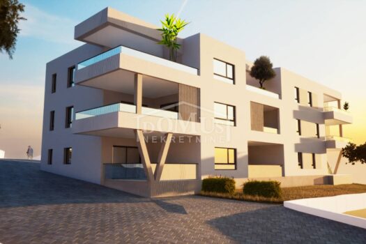 1693313334 animation 7