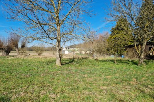 Traumhaftes Baugrundstück in Gunskirchen - 1647m² für Ihr Eigenheim - 2 Doppelhäuser möglich !!! 16ZzBQLDvKcfK7MJ1BImFQ
