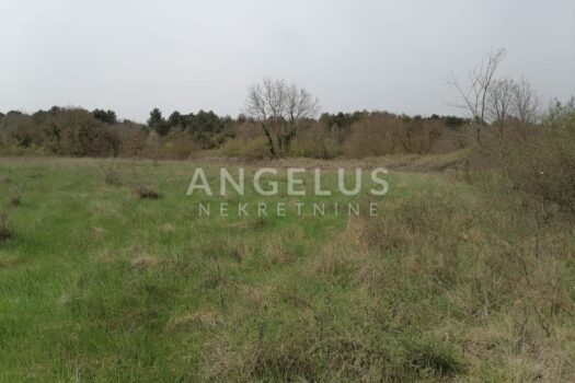 1712863005 whatsapp slika 2024 04 11 u 17