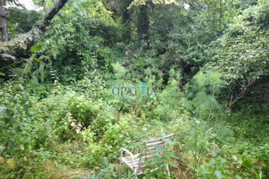 Lands Trinajstići, Kastav, 800m2 1718190471 20240611 123812