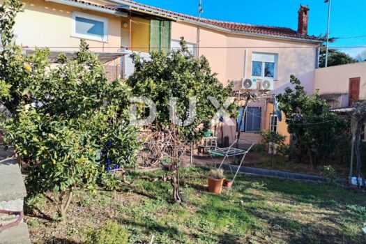 1734005103 whatsapp image 2024 12 12 at 13