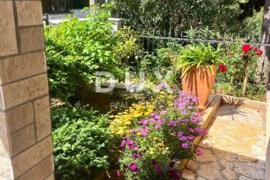 1735908809 whatsapp image 2024 12 30 at 21