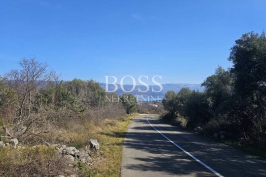 1740388087 img b28b4bb38430fb7026fa05922e28b7dd v