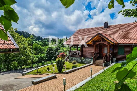 1743072474 c2473f9f dbcb 4c03 83ed a873f84e642d