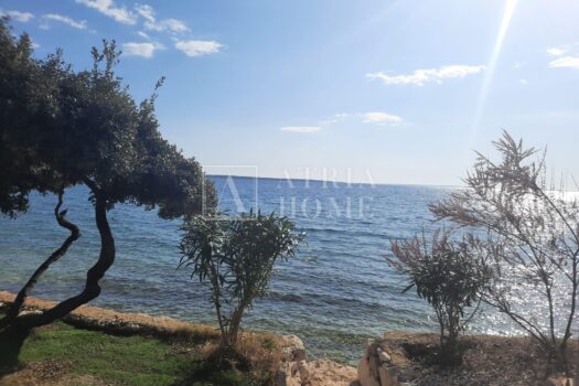 1743963475 whatsapp image 2025 04 06 at 20