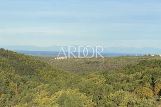 1744119388 thumbnail img 4215