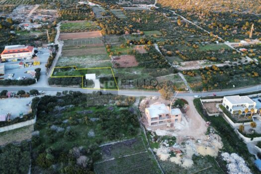 1745412243 dji fly 20250220 171552 431 1740068268018 photo optimized1