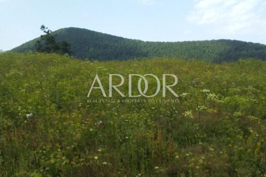 1749570125 begovo razdolje 151336