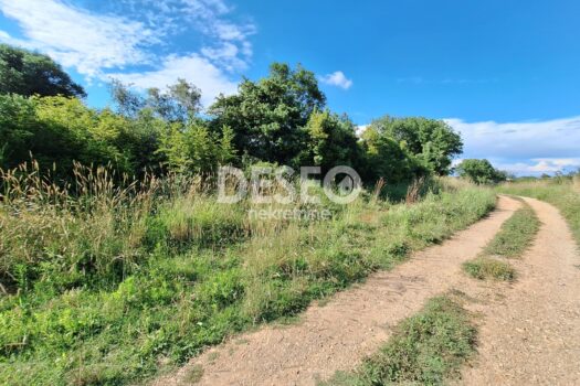 1749713502 img 20240604 wa0002