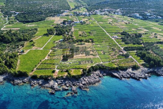 1751890841 dji fly 20250703 090132 604 1751526101140 photo optimized