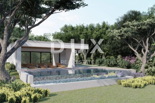 1752050840 whatsapp image 2025 06 14 at 18