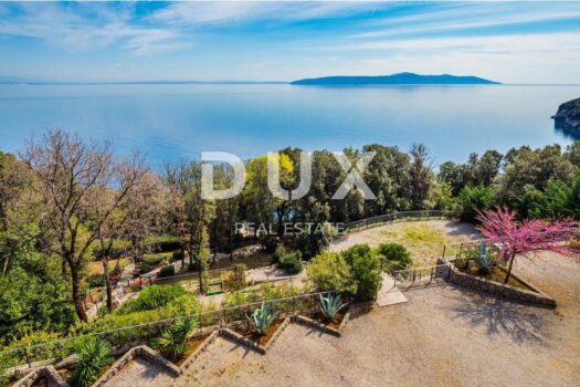 1754221258 542660186