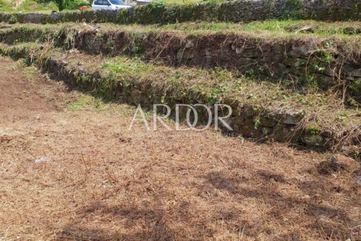 1754645533 434eb032 52c3 4e5d 8357 7760ff0819ee 1