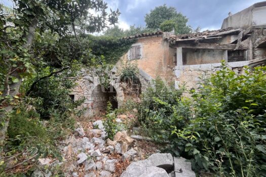 1755686496 1000031538