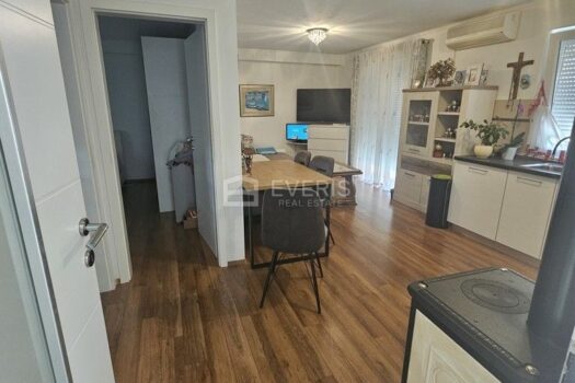 1756376481 stan na viskovu 41 m2 868433