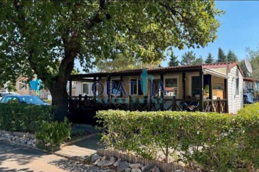 1756380172 1756361957605