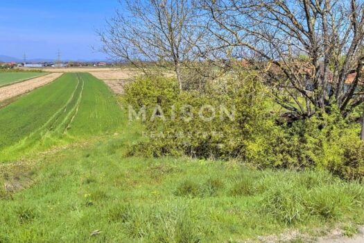 1756725158 2580 1 1747220127 1240x720 1