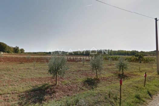 1756976681 zemljiste