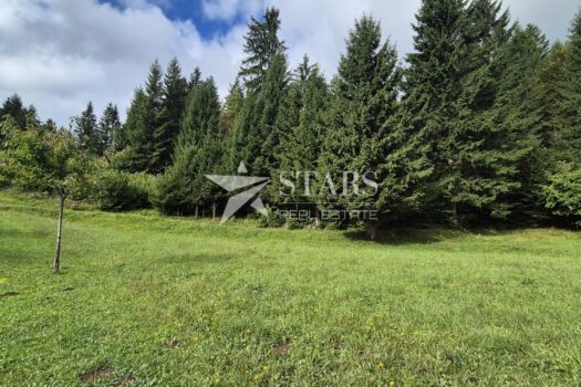 Gorski Kotar, Tršće – Baugrundstück 1.000 m² mit Hauptprojekt 1756997872 1