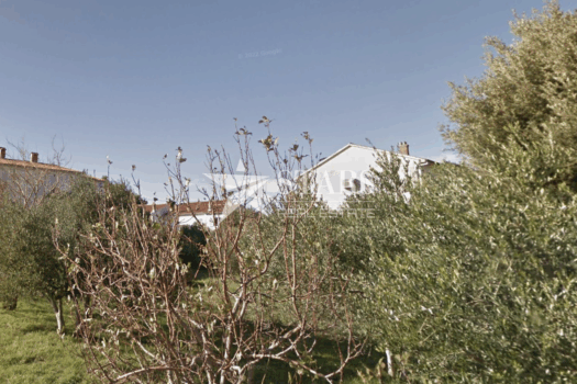 1757091544 screenshot 2025 01 21 at 21