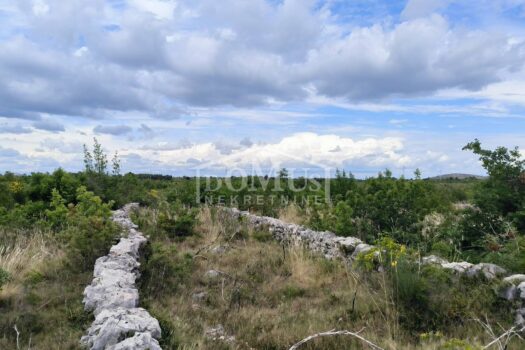 1757324255 img 20240515 144159