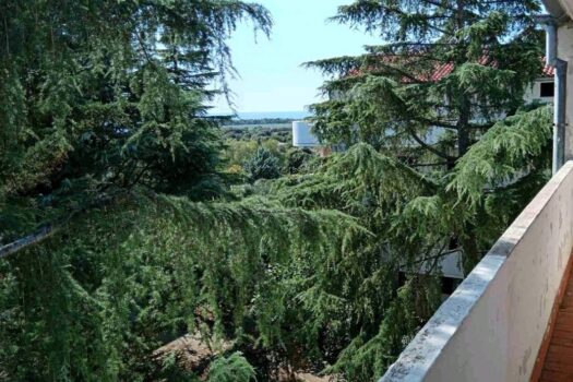 1757356144 thumbnail 2