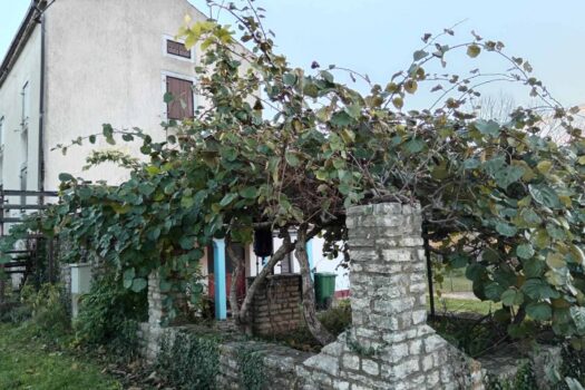 1757534851 2025 09 10 21 10 50 628