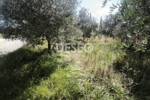 1757624166 img 20250911 172712