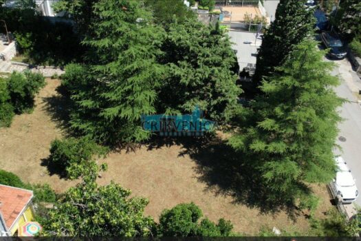 1757937456 1000017845