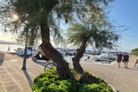 1758017158 img 20250916 wa0016